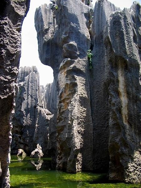 ✯ Kunming Stone Fore...