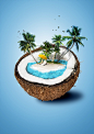 椰子创意海报设计PSD,椰树海岛,风景,海鸥,蓝色背景,PSD素材,素材免费下载_中国素材网