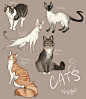 catsss_by_1skylight1-d5i85wv.png 1,000×1,147 