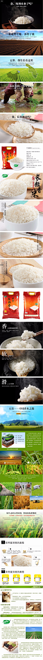 包邮 2014年新米上市十月稻田五常长粒香大米5kg五常香米东北大米-淘宝网