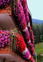 Flower balconies in Trentino, South Tyrol, Italy.