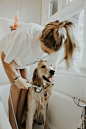 Golden, puppy, summer and shower HD photo by Autri Taheri (@ataheri) on Unsplash : Download this photo by Autri Taheri (@ataheri)