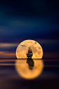 Fabulous Full Moon Photography To Keep You Fascinated - Bored Art