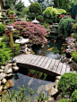 Forest In My Garden on Twitter: "I'm back with another photo of my dad's Japanese garden on the first sunny day of 2019 :)… "