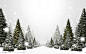 forests landscapes nature snow trees wallpaper (#97941) / Wallbase.cc