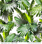 Tropical leaves pattern. Green leaf exotic plants seamless. Artistic photo collage for floral print. Natural leaves palm, banana, monstera template background.