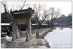 Flyinginlove采集到多图_踏雪寻梅，游走颐