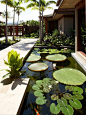 Photo of a tropical water fountain landscape in Hawaii.