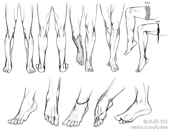 腿，脚，画法参考
