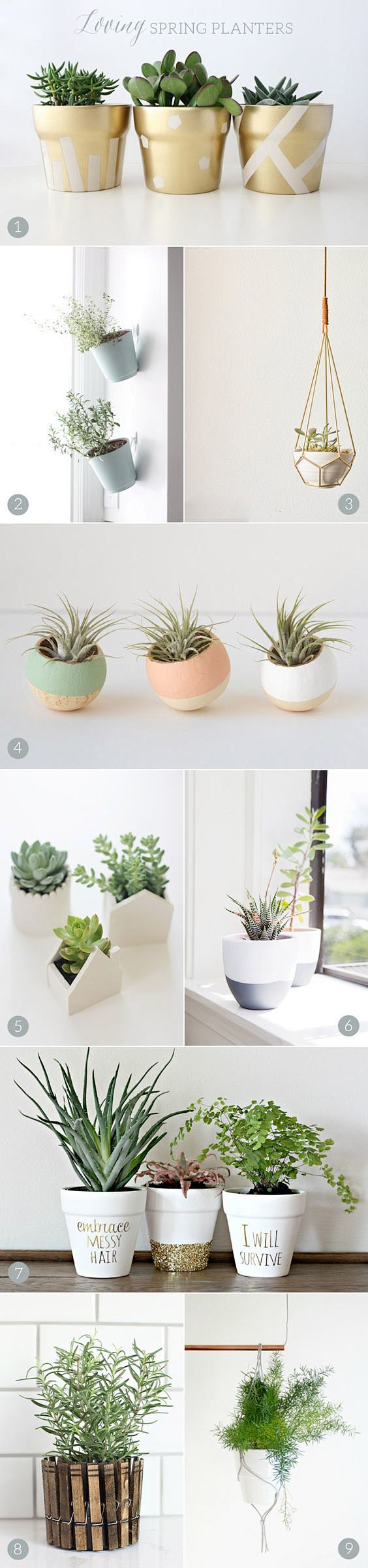 Beautiful DIY Plante...