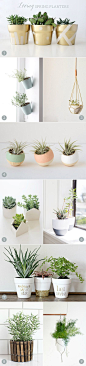 Beautiful DIY Planters | The Sweetest Occasion: 
