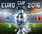 Euro Cup 2016 : EuroCup 2016