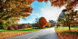 Landscapes Trees Twitter Cover & Twitter Background | TwitrCovers