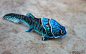 tropical-fish-underwater-sea-life-blue-beautiful-fish