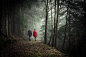 Forest, nature, people and tree | HD photo by Sebastian Pichler (@pichler_sebastian) on Unsplash : Download this photo by Sebastian Pichler (@pichler_sebastian)