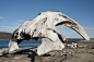 Bowhead whale jaw bone on Kekerten Island in Kekerten Historic Park, Qikiqtaaluk Region, Nunavut, Canada_创意图片