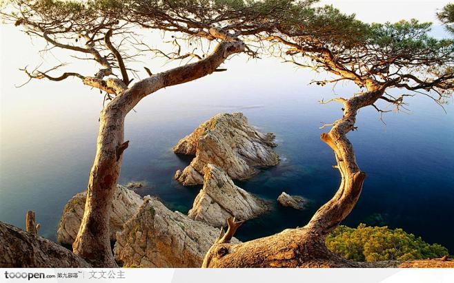 西班牙布拉巴海岸的山、石和松柏高清图片