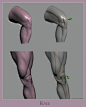 艺用解剖一组不错的解剖图 膝盖 手肘 胸背部 ​​​​