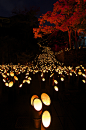 lifeisverybeautiful:Bamboo lighting, Oita, Japan十六羅漢に火が灯る by comolebi* on Flickr.