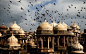 General 1920x1200 city architecture birds dome India