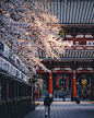 四月，粉色的东京 | Takashi Yasui - 人文摄影 - CNU视觉联盟