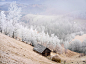 霜冻覆盖了罗马尼亚-Sirnea-特兰西瓦尼亚（Transylvanian）村庄的房子、树木、田野和干草，一片银装素裹透出冷艳之美。这里村庄和村民的生活与季节息息相关密不可分。摄影 Catalin Caciuc