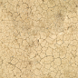 Soil Ground Background Three | Photo Texture & Background