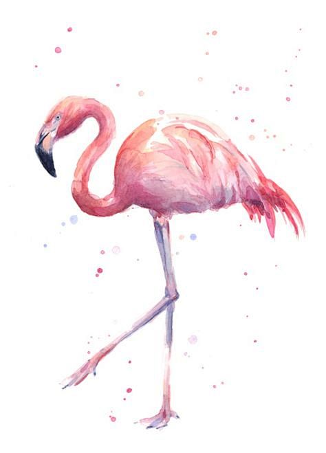 Flamingo Watercolor ...
