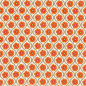 Harlequin - Sira in Orange