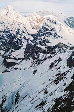 波波怪采集到山