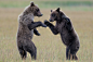 Playing In The Meadows by Eric Esterle on 500px