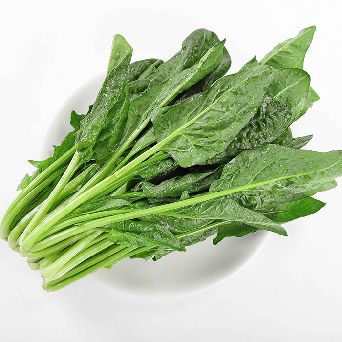 c21fa0a2e62d0fc75b04888bd7b1b735417198f295517-749N5E