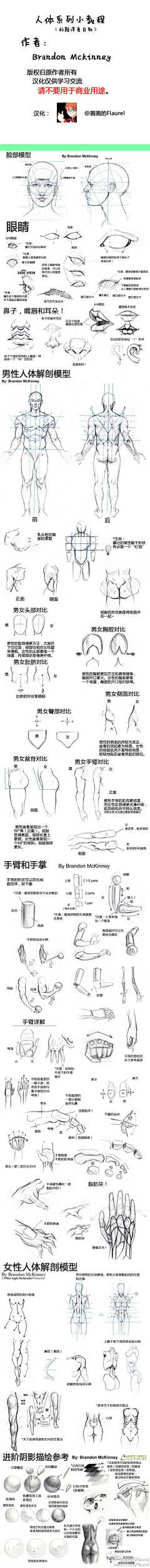 四叶草爱拍照采集到人体结构