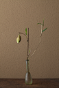2012年6月28日（木）
笹についた山繭は初めてでした。祈りのかたちのようです。
花＝山繭（ヤママユ）、笹（ササ）
器＝ローマングラス瓶（ローマ時代）