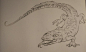 《鬼吹灯》内的生物设计~霸王蝾螈-狮鸢SONNY__涂鸦王国插画