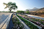 Quilapilun_Botanic_Garden_Park-Panorama_Architects-02-Wenborne « Landscape Architecture Works | Landezine tuin park terrassen bloemen helling landschap: 