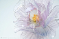 日本成田艺术家荣Sakae的金属丝与造花液手工制作精致美丽的梦幻发簪-搜狐