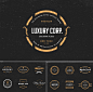 MASSIVE BUNDLE 576 Vintage Logos Labels and Badges : A Massive Collection of 576 different Logos, Labels and Badges with Vintage Style.
