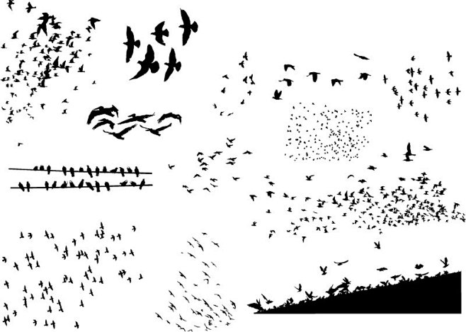 迁徙鸟群剪影矢量素材，素材格式：EPS，...