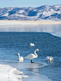 冬天的赛里木湖！是可以踩在冰面上的美