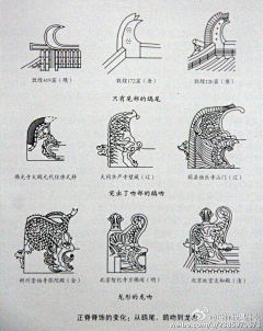 凤兮虞兮采集到采 - 文学、常识