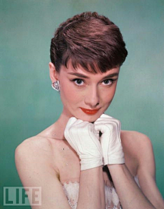 天清继采集到Audrey Hepburn