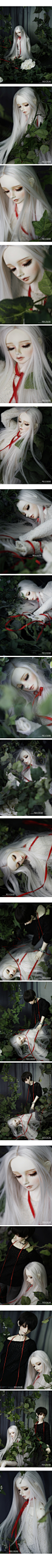 CROSS † AMBITION - BJD CROBI