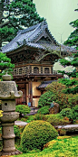 The Japanese Tea Garden in @Janice Snyder Gate Park. We lived 2 blocks away from the park. Heaven. Lots of hours spent here exploring. 1989-1992