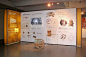 IDEA – Ancient Greek Science and Technology : Visual identity of the exhibition ‘IDEA – Ancient Greek Science and Technology’