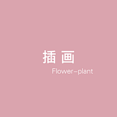 小薇vivi采集到插画-Flower-plant