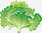 青菜高清素材 元素 卡通 春天 水果 素材 芹菜 蔬菜 青菜 免抠png 设计图片 免费下载