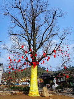 Josephine水云采集到那些景