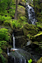 Blauenthaler Wasserfall by LunaFeles