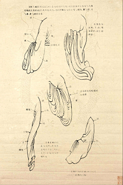 阿梦酱采集到黑白画